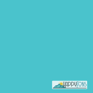 Фотофон виниловый «Turquoise»